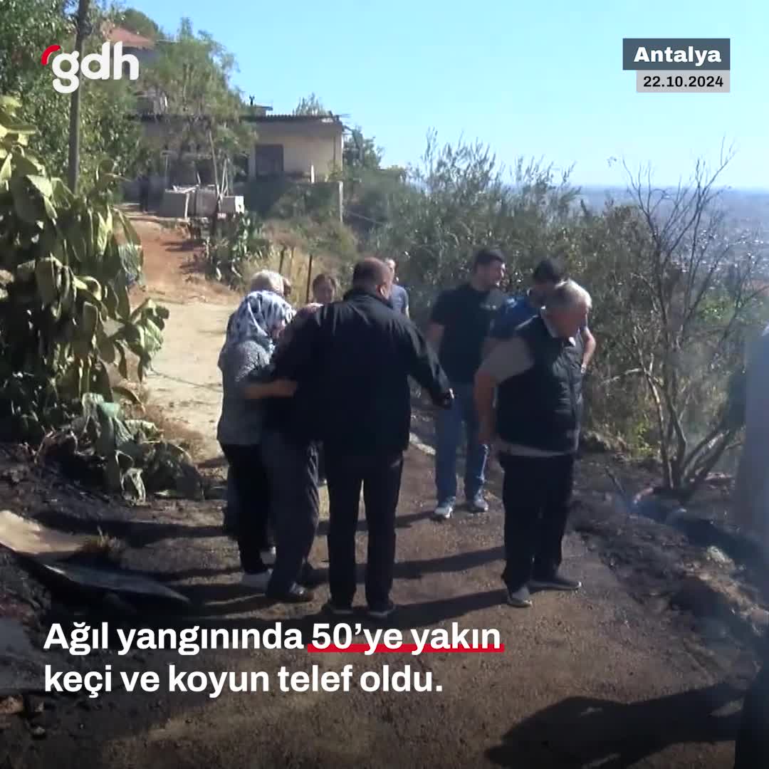 Antalya'da elektrik telinin kopmasıyla başlayan yangın 50 hayvanı öldürdü