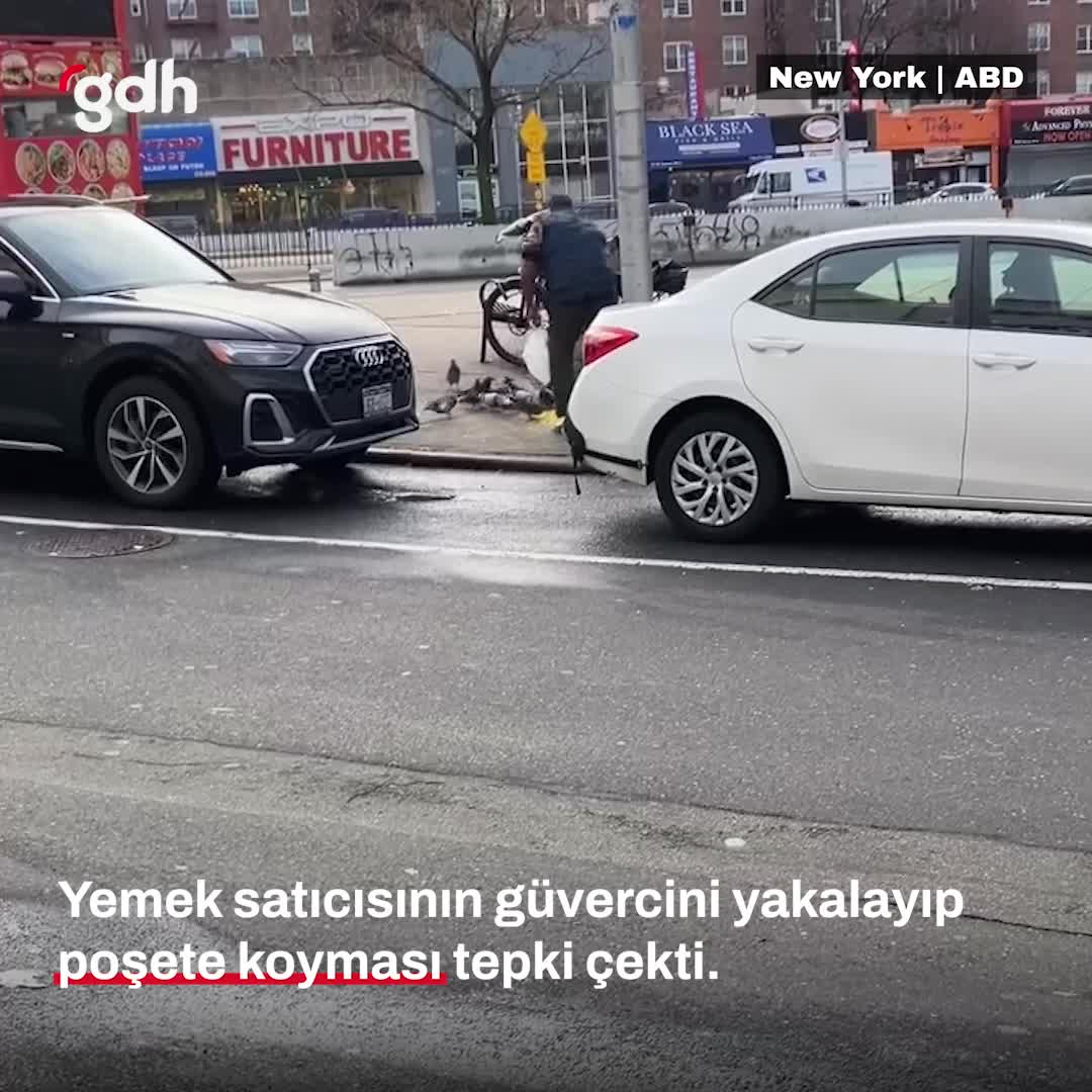 New York'ta sokakta güvercin avlayan adam gündem oldu