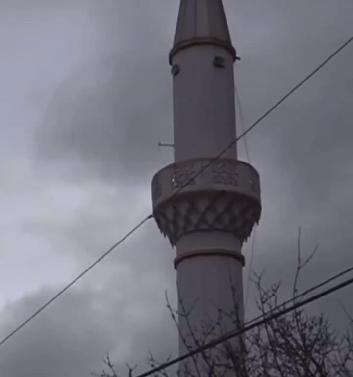 Karacabey'de barınaktan kaçan ayı için anons yapıldı