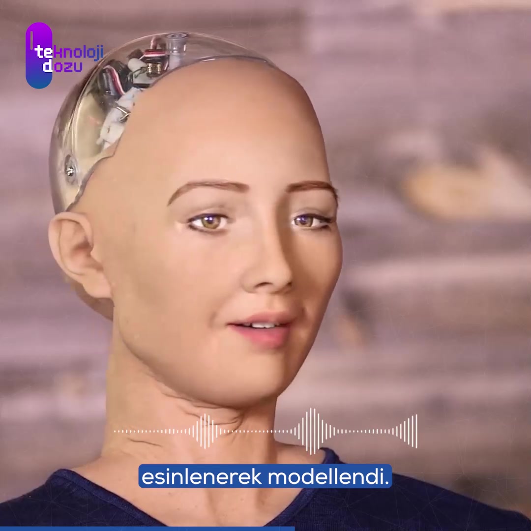 Insansı robot Sophia'nın farkları ve özellikleri nelerdir?