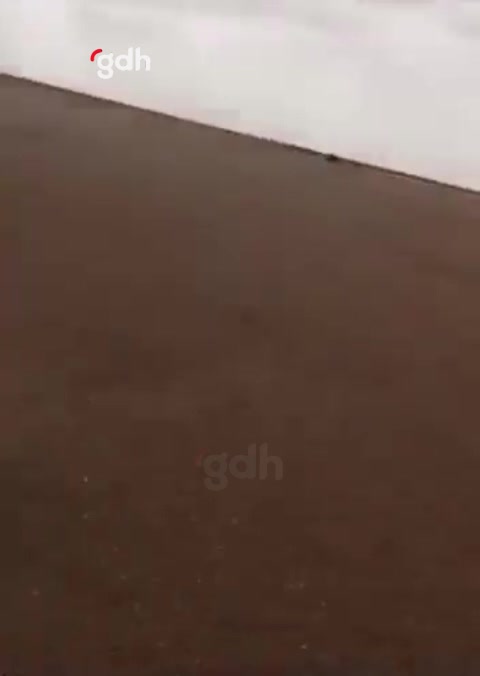 Arap aşiretleri Deyrizor'da PKK/YPG'ye ait araca el koydu