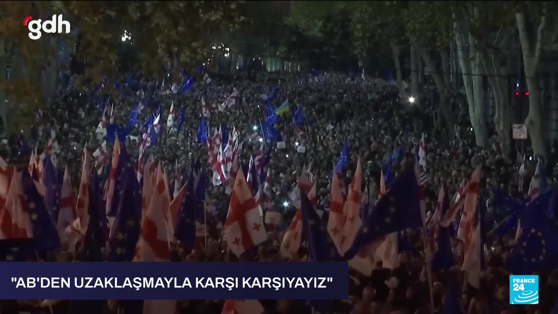 "Rusya, Batı'nın Gürcistan'daki etkisini kıskanıyor."