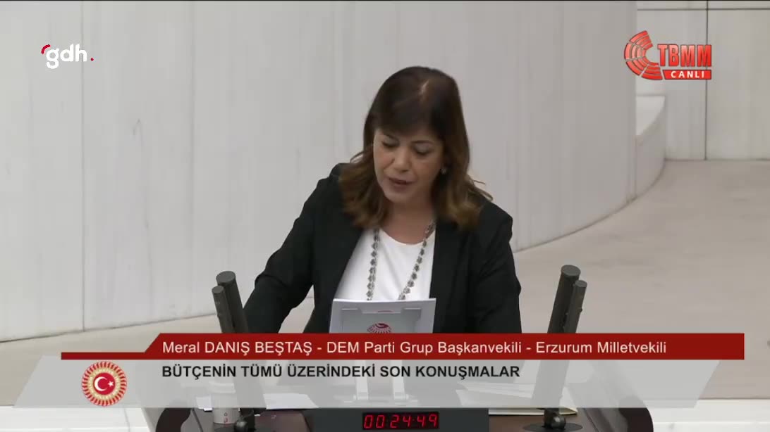Meral Danış Beştaş: Tecrit, ülkenin yarası; çözüm İmralı'nın açılmasıdır