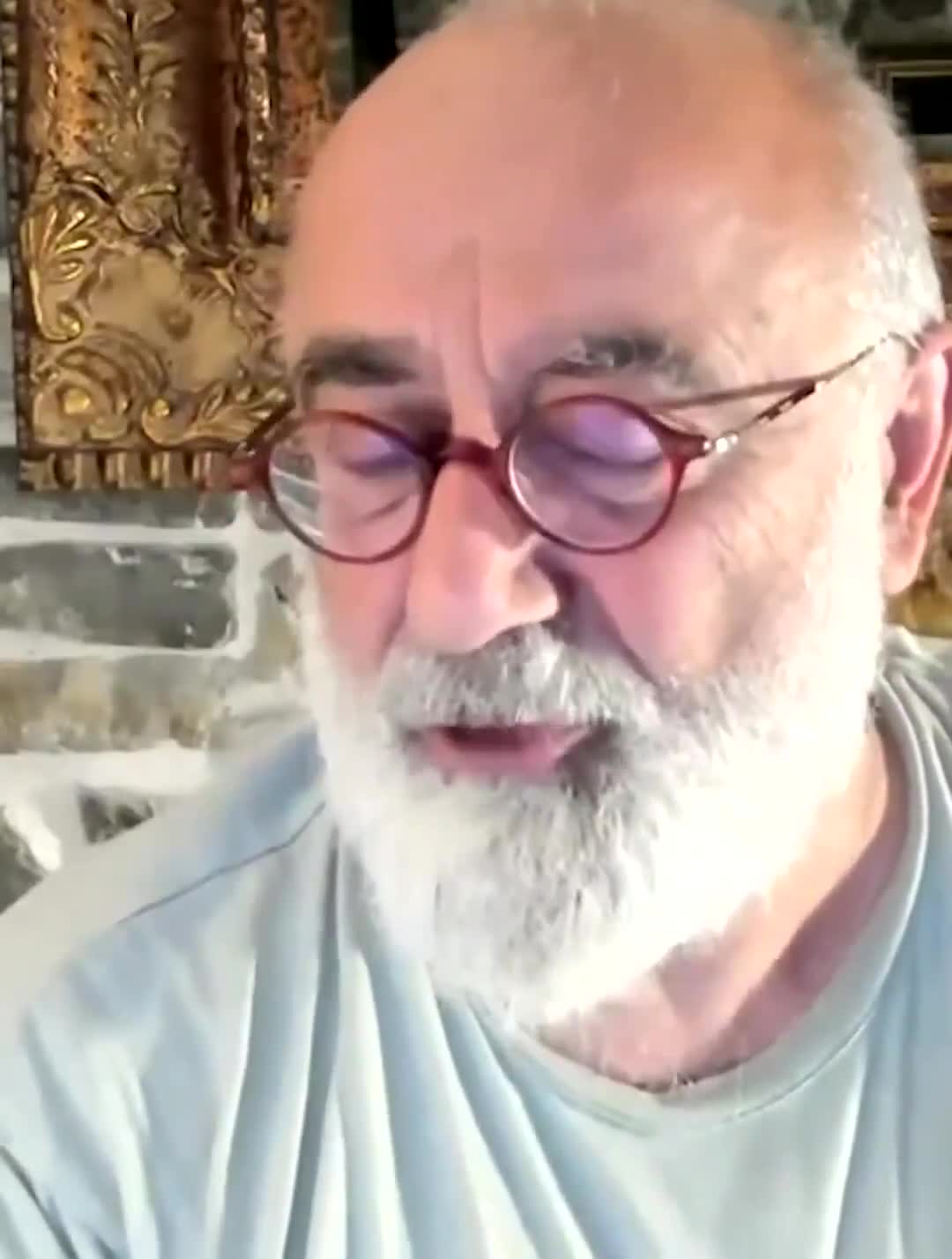 Sokak köpekleri için yapılan yaygara sahtekarlıktır