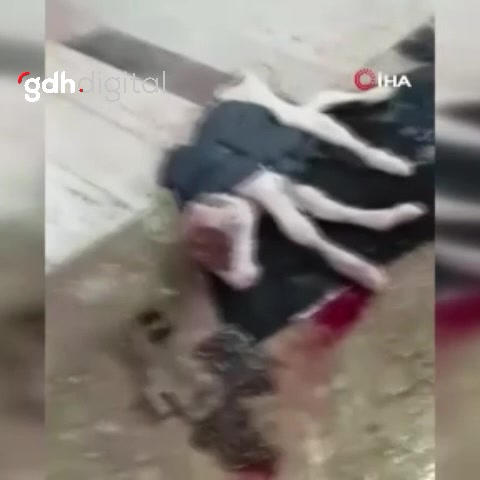 Afyonkarahisar'da doğan çift başlı buzağı 4 saat yaşadı