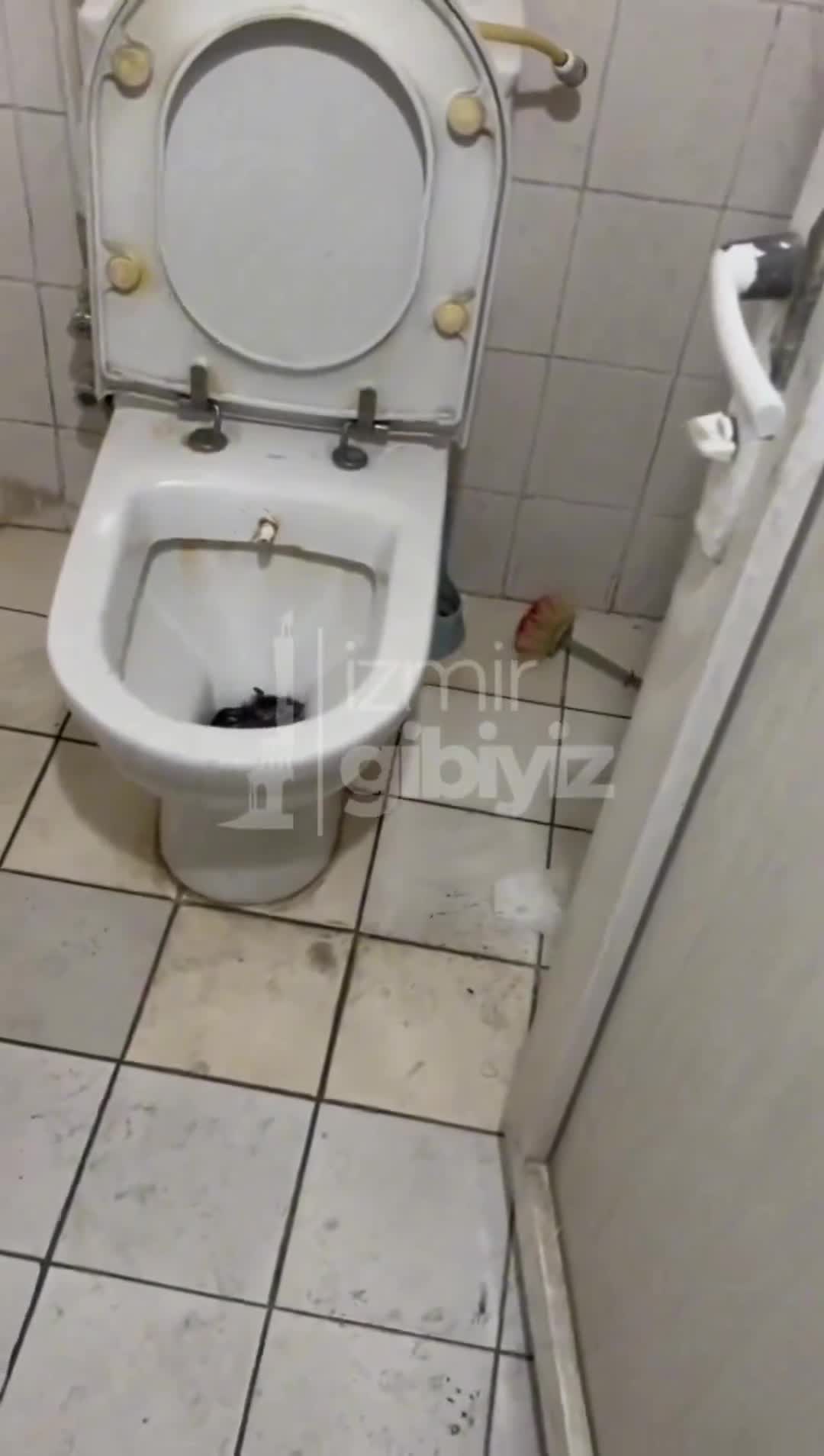 İzmir Karabağlar’da klozetin içinden fare çıktı