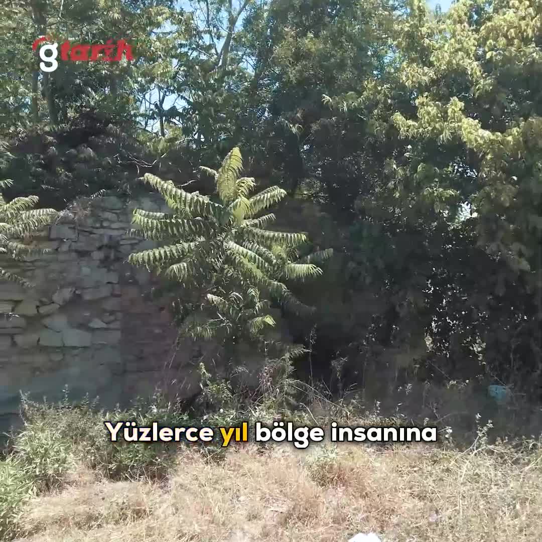 Fatih'in tarihi hamamı; bakımsız ve çöplüğe döndü!