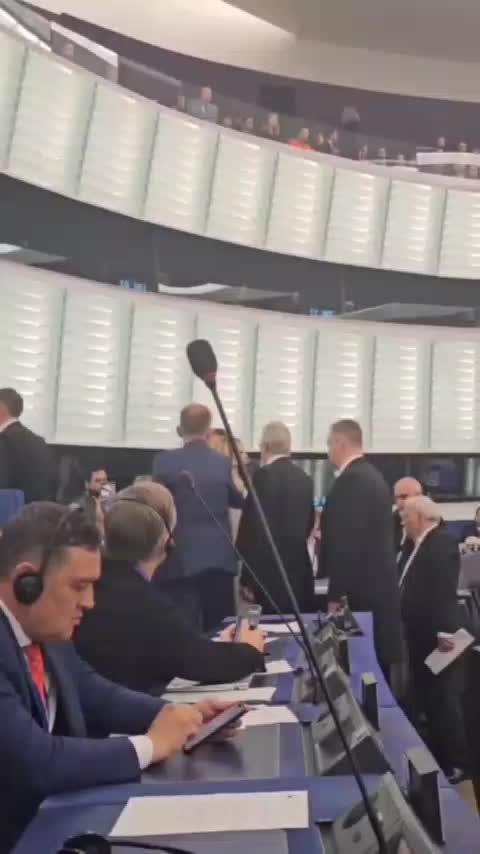 Diana Iovanovici-Sosoaca: Avrupa Parlamentosu'nu arındıracağız!