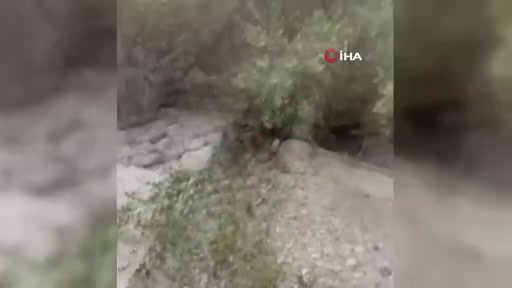 Antalya'da kaybolan genç, ekipler tarafından kurtarıldı