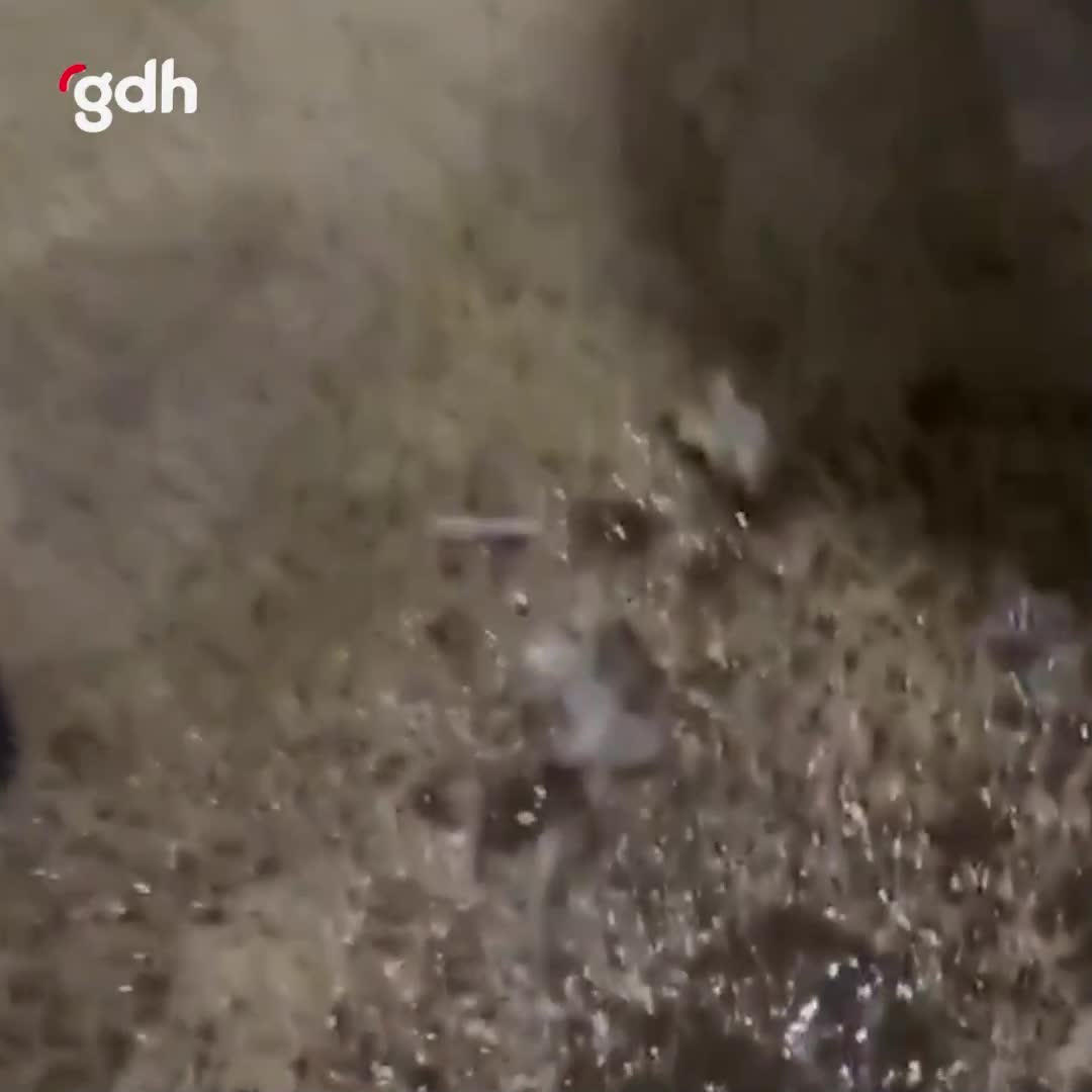 Kırklareli'nde kadın, uyuşturucuları tuvalete atıp su döktü