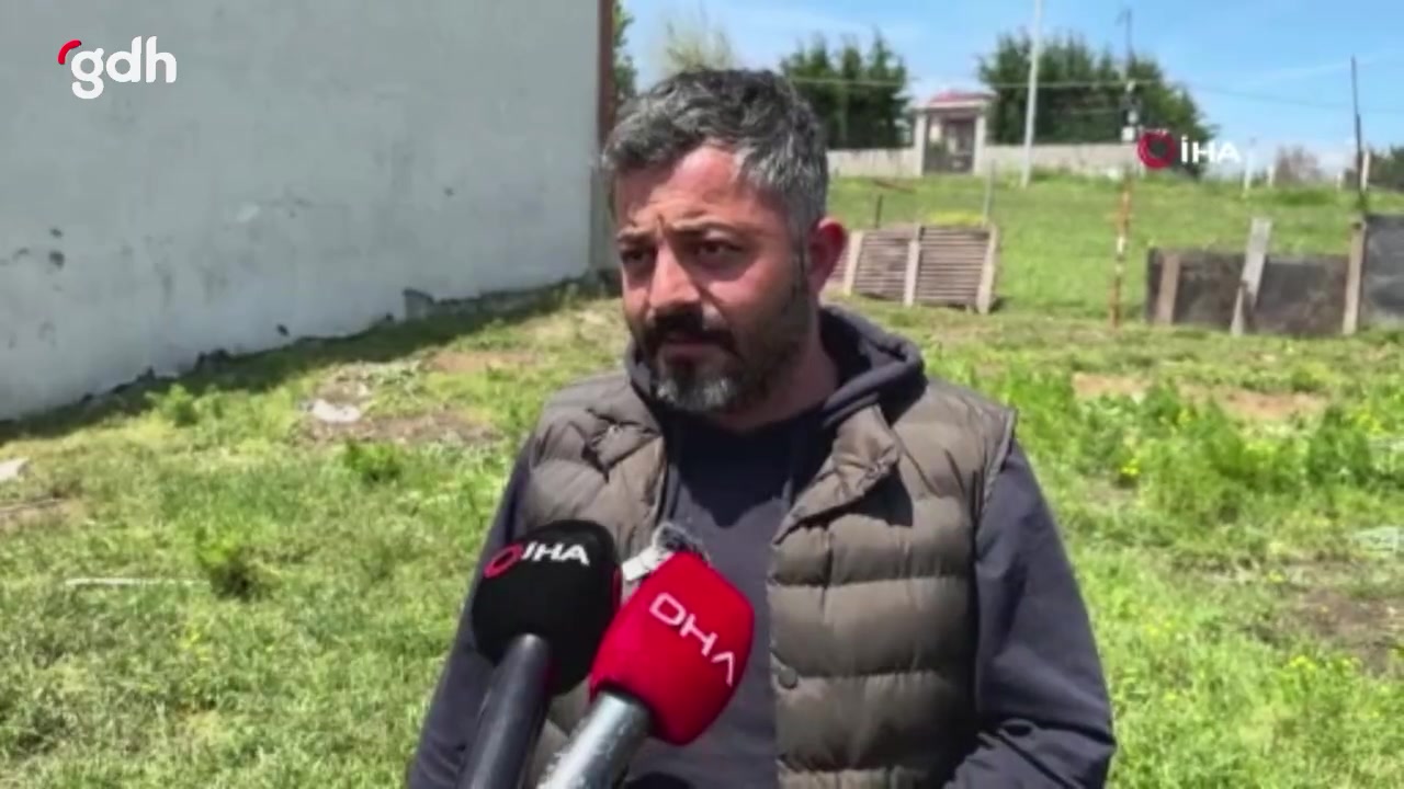 İstanbul'da başıboş köpeklerin kurbanlık sürüsüne saldırısı