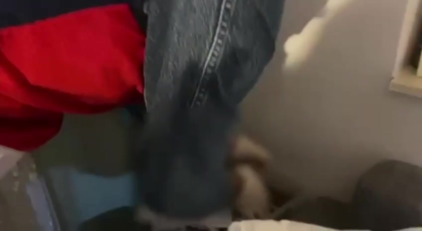 Muğla'da "KAFES" Operasyonu ile Germiciler Grubu çökertildi