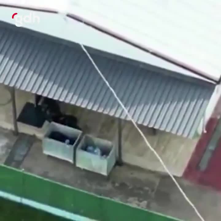 Gebze'deki Rehabilitasyon Merkezinde Hayvanlara Kötü Muamele Görüntüleri