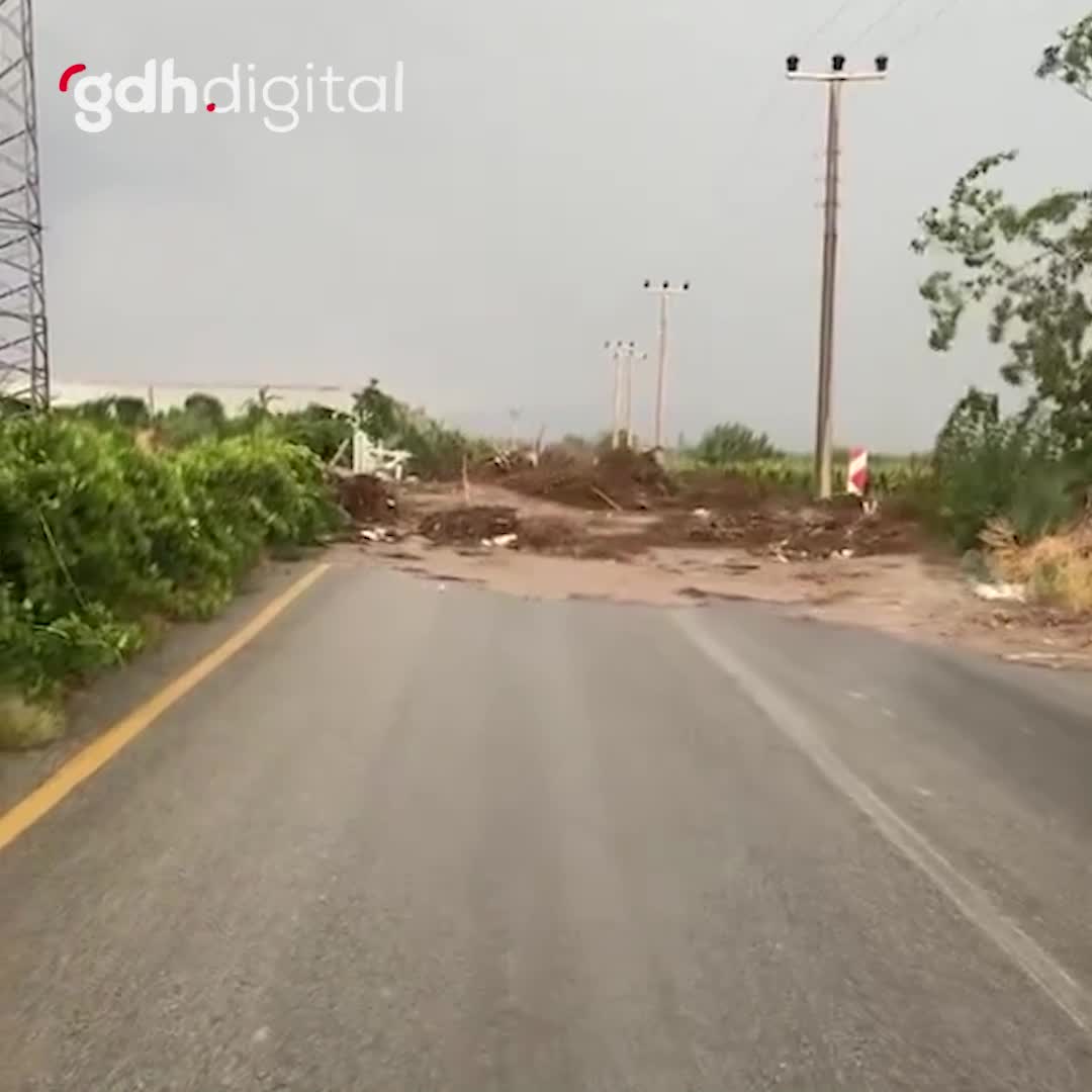 Manisa'da üzümler şiddetli yağışta akıntıya kapıldı