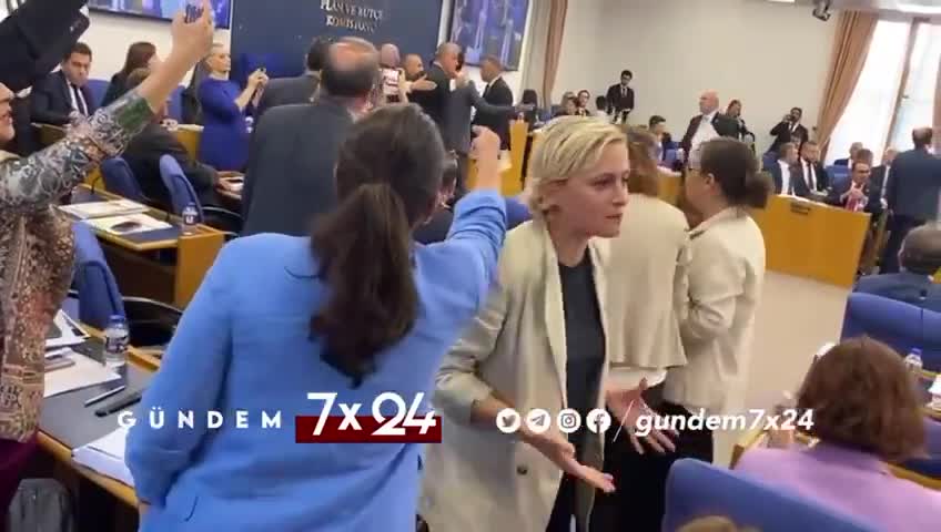 TBMM'de başıboş sokak köpekleri kanun teklifi görüşüldü