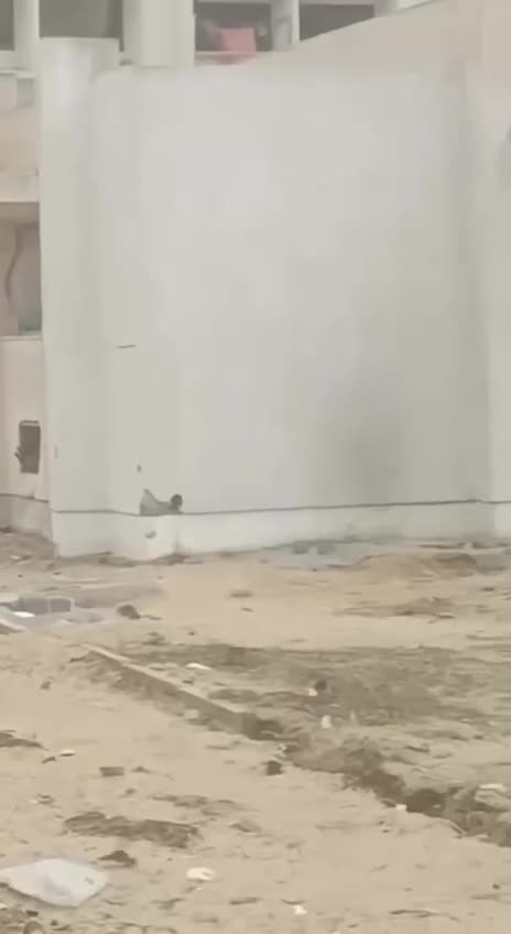 Gazze'de İsrail saldırıları altında zor kışa direniş sürüyor
