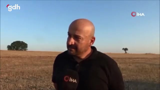 Tekirdağ'da Çekirge Göçü Tarım Arazilerine Zarar Veriyor
