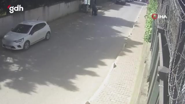 Eyüpsultan'da başıboş köpeklerin mahalleliye saldırısı