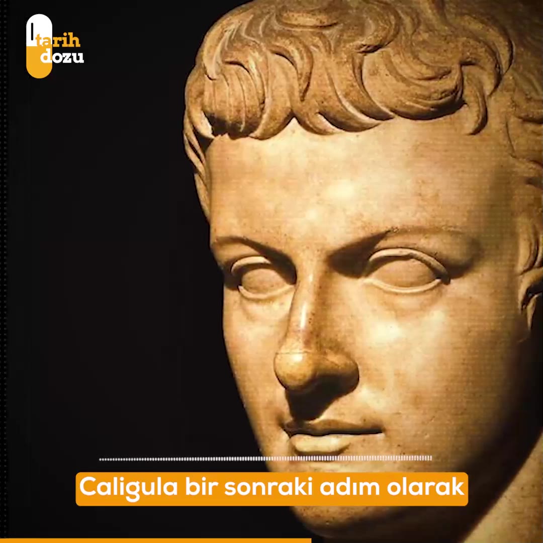 Caligula'nın Senatör atadığı atı Incitatus'un hikayesi