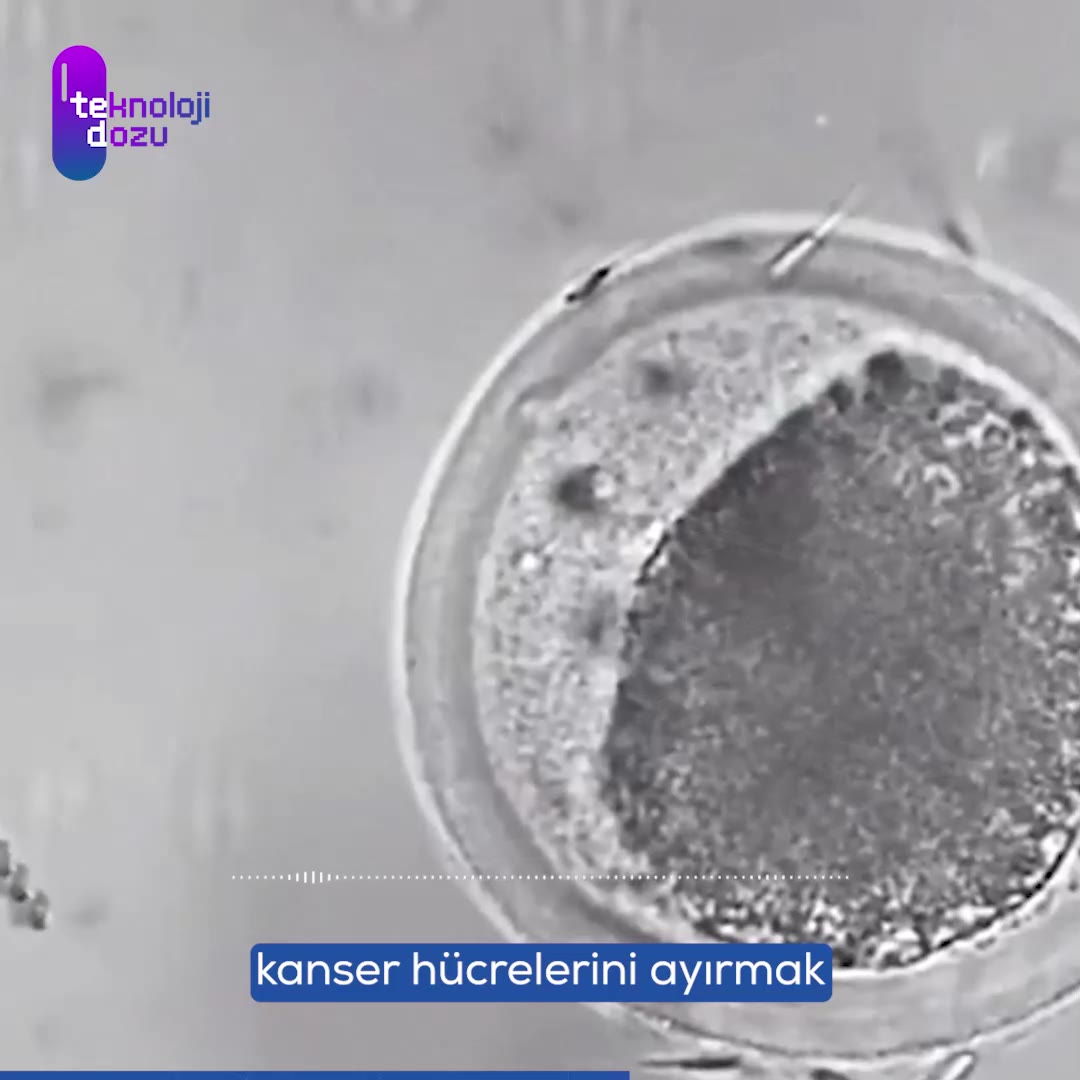 Kanserle savaşa mikro robotlarla yeni bir dönem!