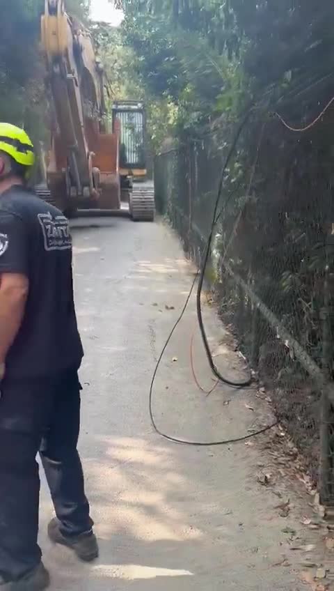 İBB ekipleri Vaniköy'de ağaçları yıktı, yıkım başladı