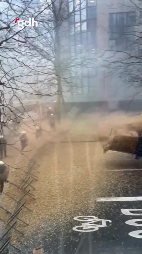 Brüksel'de çiftçilerle polis arasında arbede yaşandı