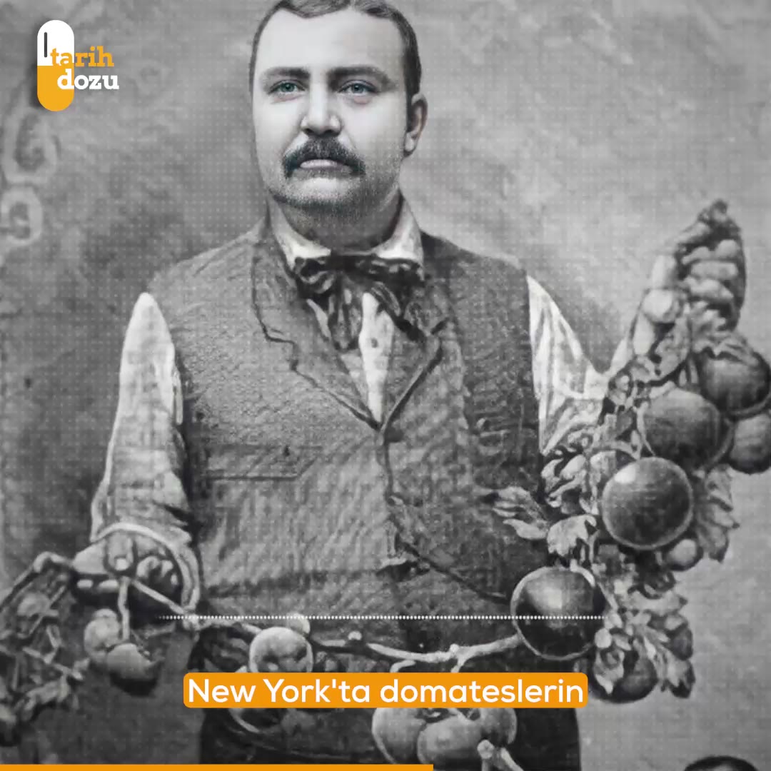 Domates neden mahkemeye verilmişti?