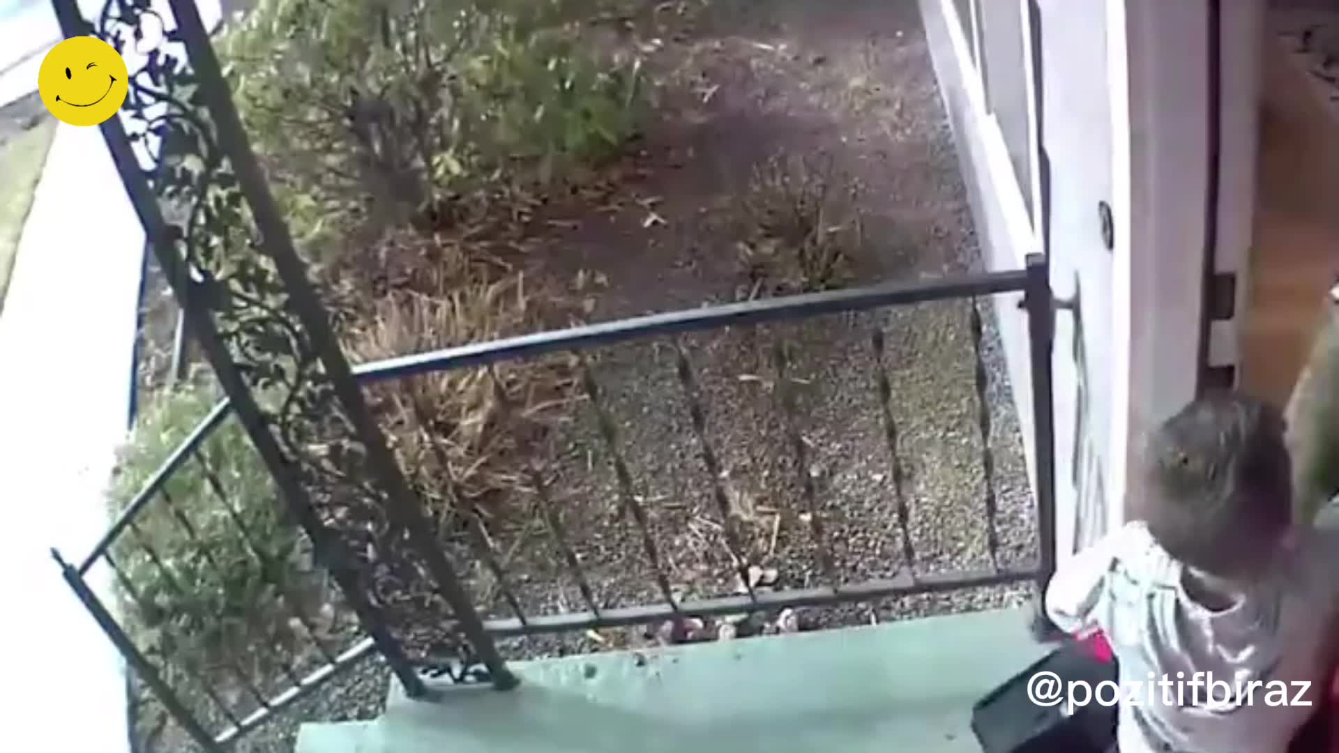 Kardeşinin şaka planını ninja hareketiyle bozdu! 🥷