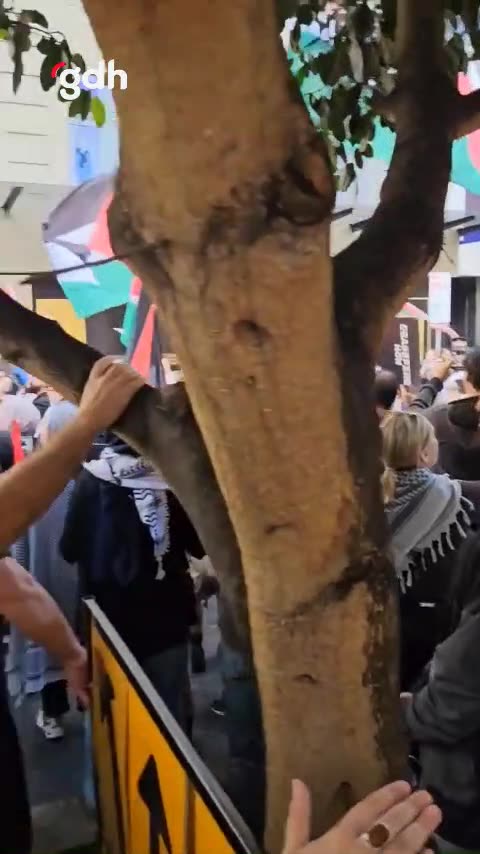 Melbourne'da "Soykırımı durdurun" diyerek Filistin'e destek gösterisi