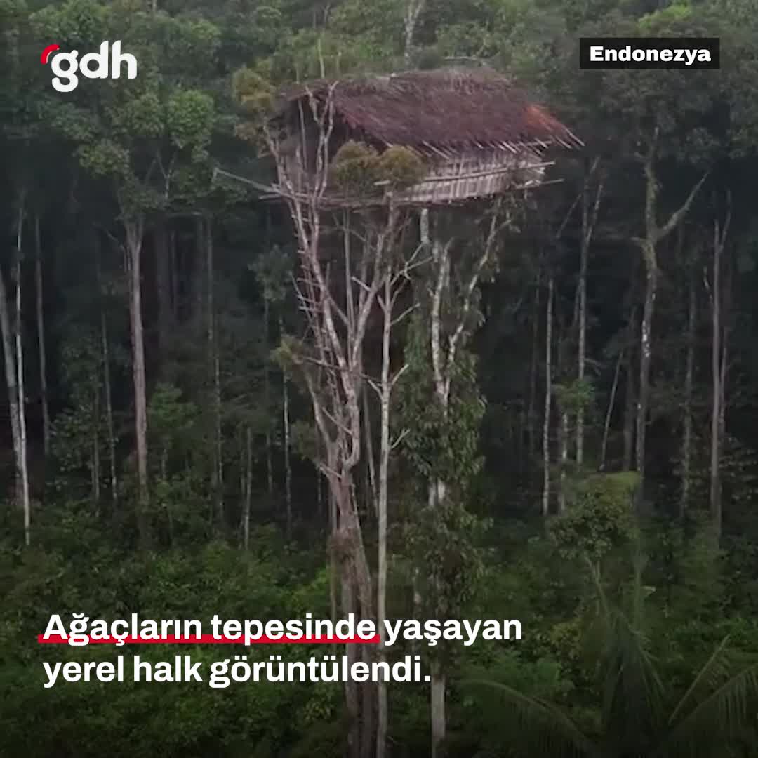 Papua Korowai halkının ağaç evleri görüntülendi