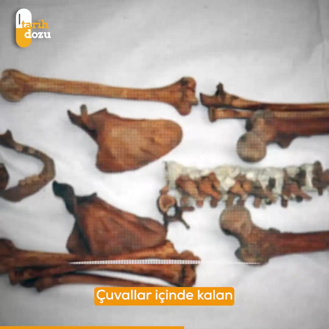 Konya'da Selçuklu Sultanları'nın kemikleri köpeklere yem mi oldu?