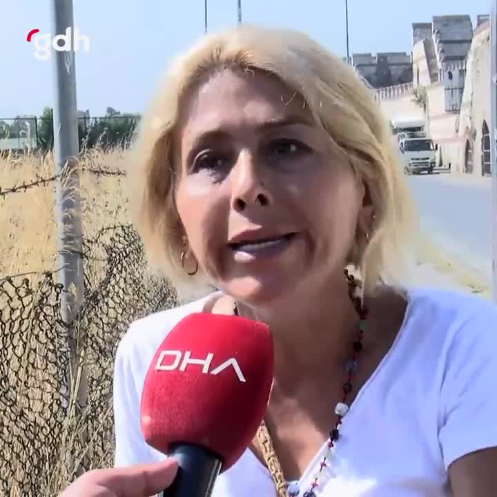 Fatih'teki saldırı sonrası köpek toplama tepkisi: "Rehabilite edin!"