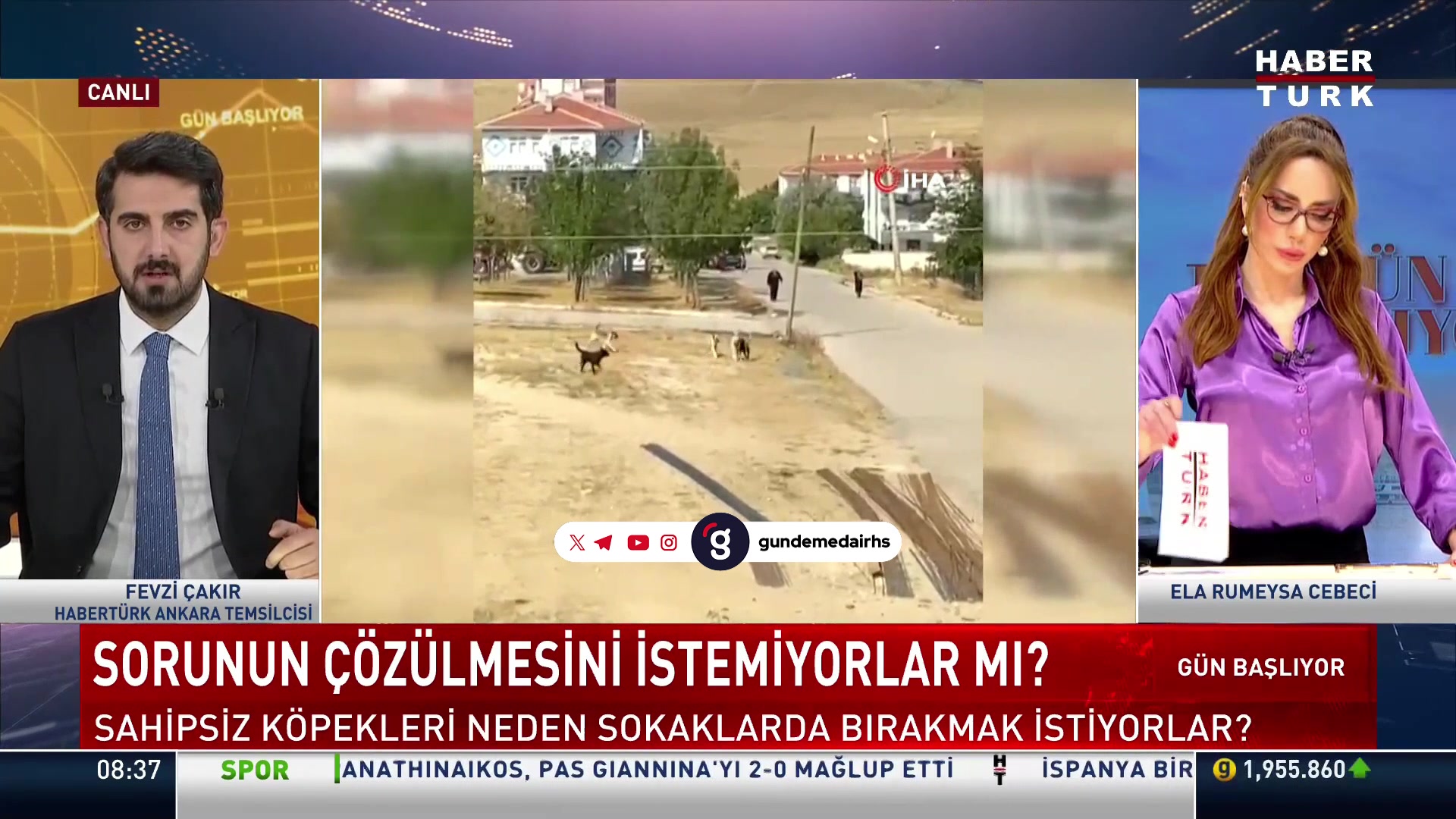 Fevzi Çakır: Başıboş köpek sorununu çözeceğiz!