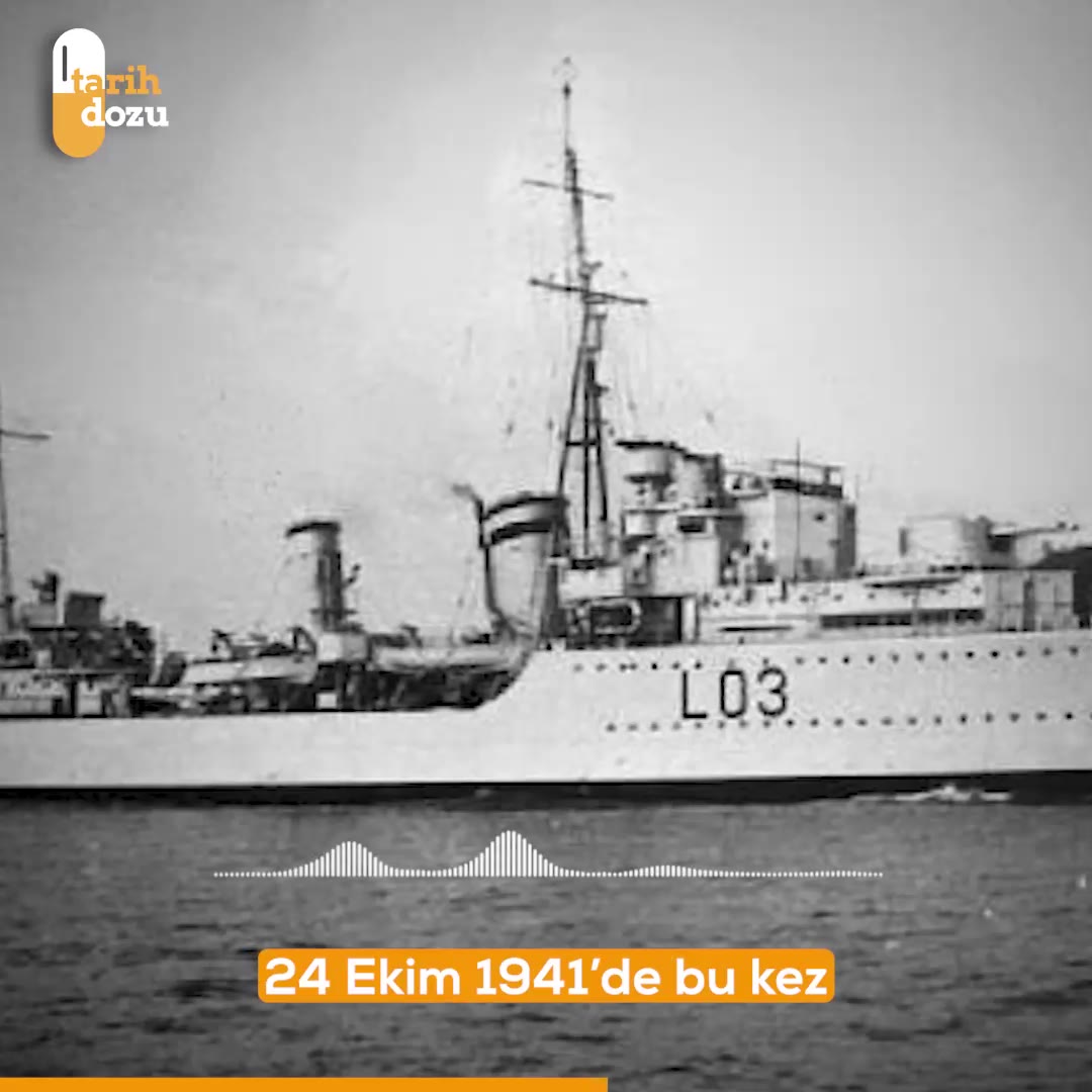 2.Dünya Savaşı’nın deniz gazisi kedi Oskar’ın hikayesi