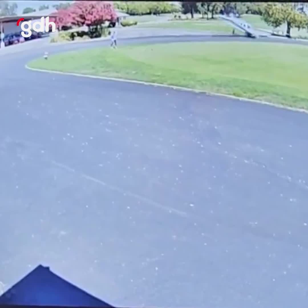 Kaliforniya'da Haggin Oaks golf sahasına uçak düştü, pilot yaralı