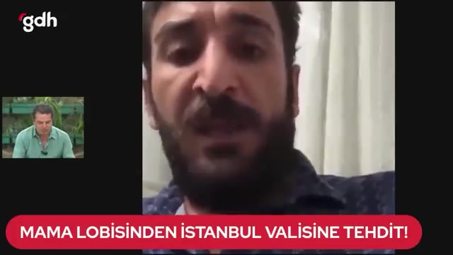 Cüneyt Özdemir: Sokak hayvanları için dolandırıcılarla konuşmayın