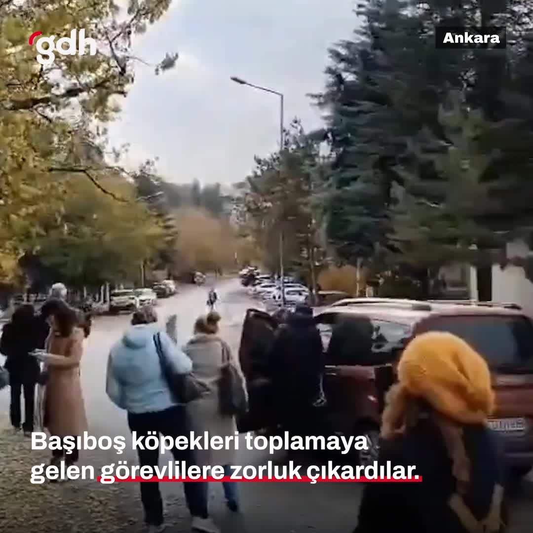 Ankara'da grup, köpek saldırısında yaralanan Yılmaz’a engel oldu