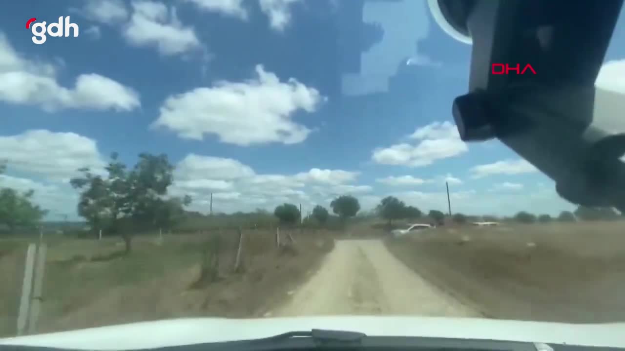 Silivri'de hayvan derneği operasyonu: 2 kişi gözaltında