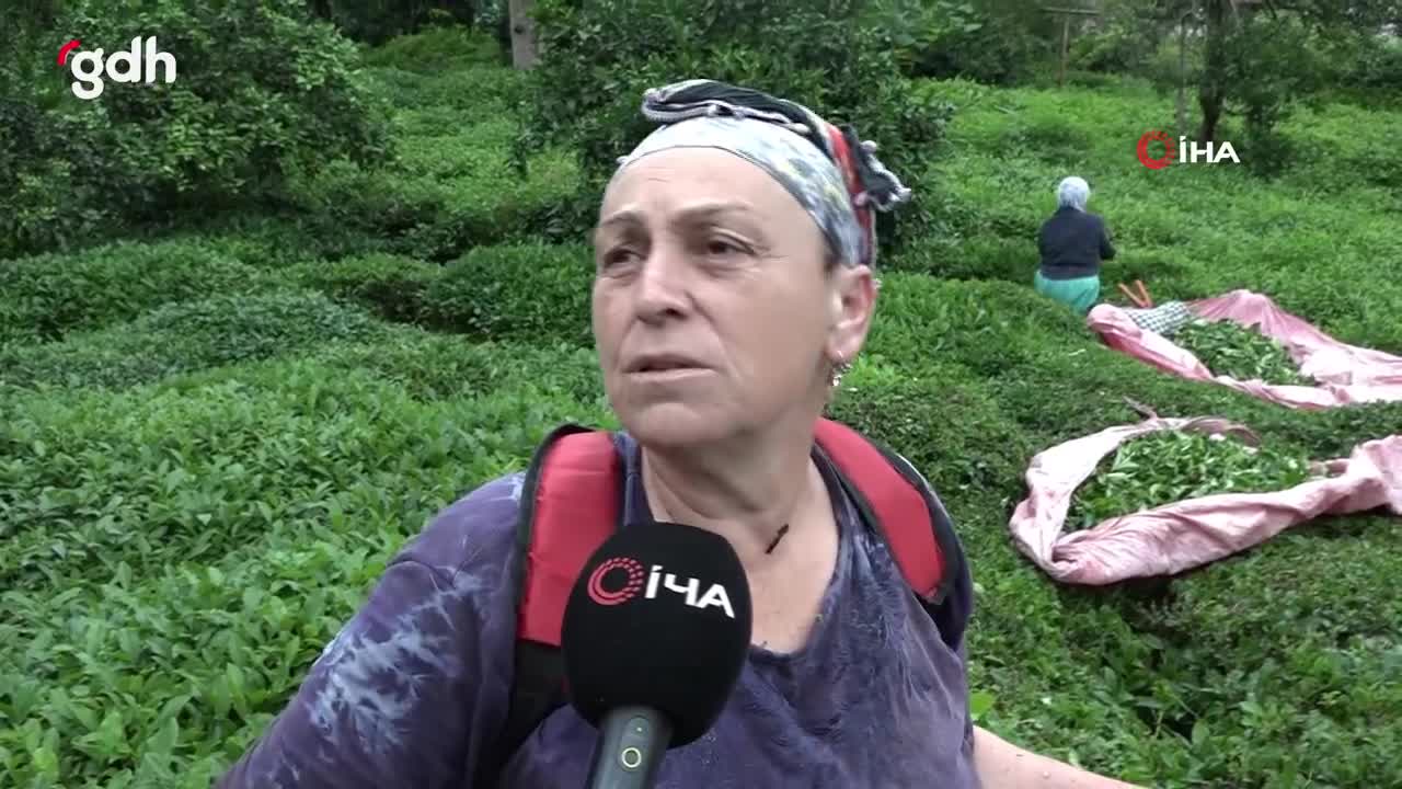 Rize'de mahalleli, kanser hastası komşuları için çay topladı