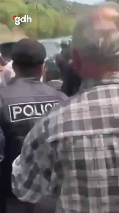 Ermeni milletvekili Danielyan, köy iadesi protestosunda bayıldı