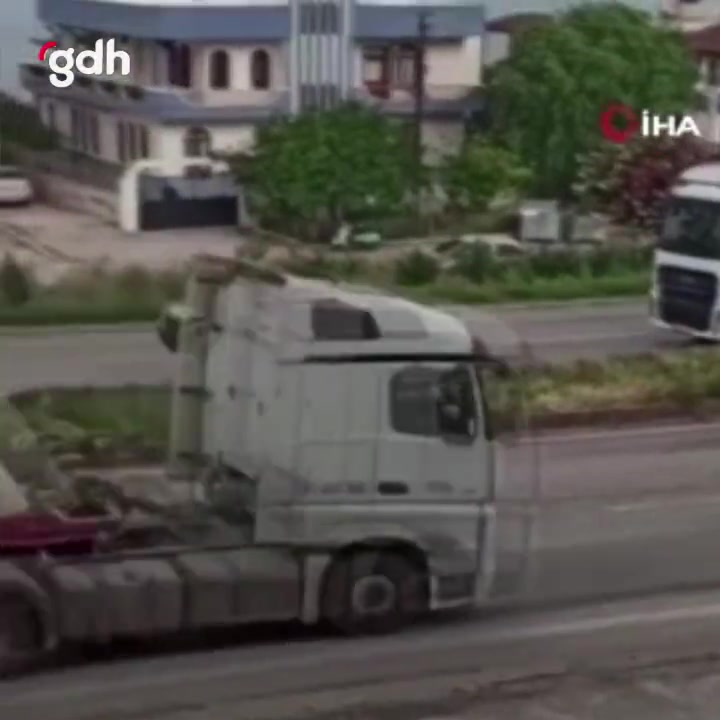 İskenderun'da kaçan deve kuşu başıboş köpeklerin saldırısında