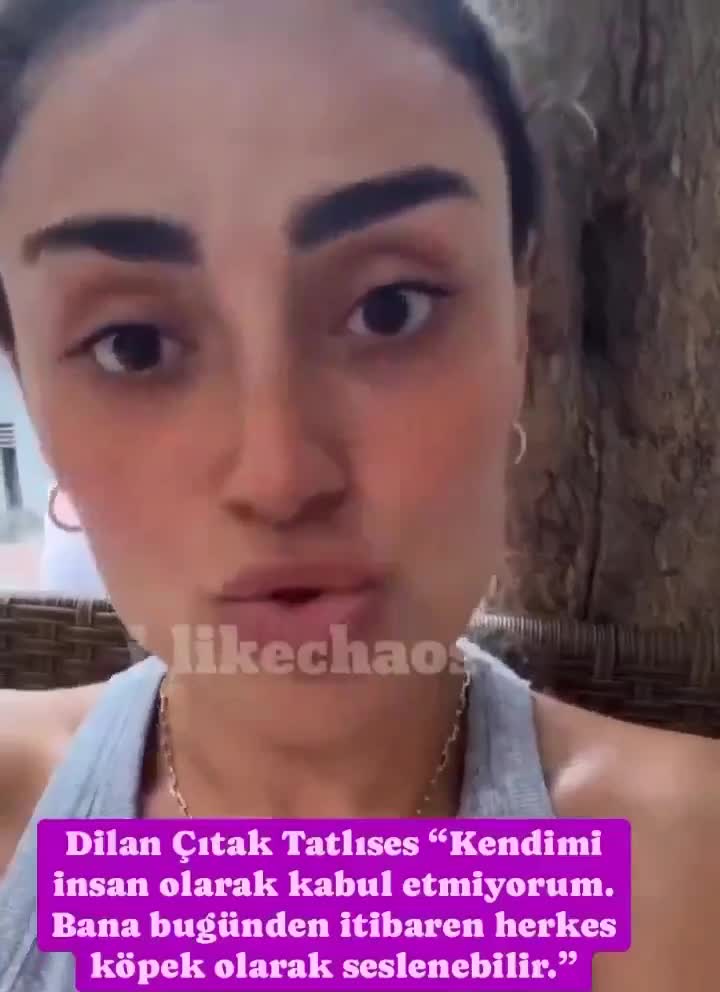 Dilan Çıtak: "İnsan değil, hayvan olarak kabul ediyorum"