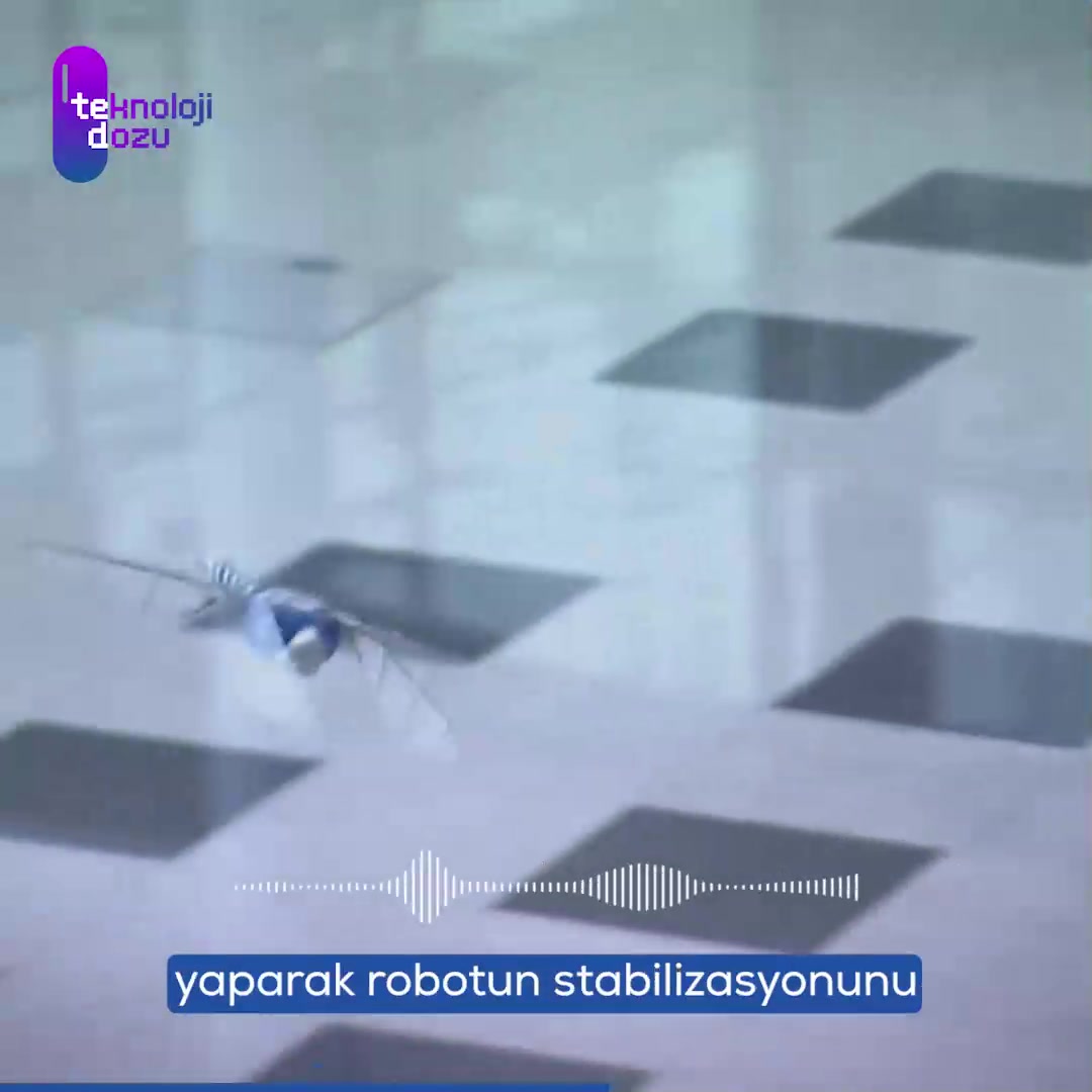 BionicOpter: Akıllı telefonla kontrol edilen teknolojik yusufçuk