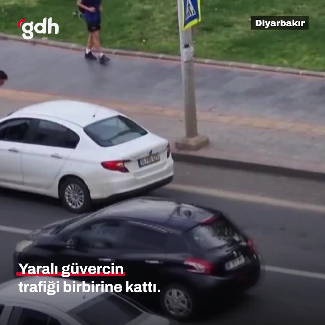 Diyarbakır'da yaralı güvercini kurtaran sürücü, trafiği felç etti