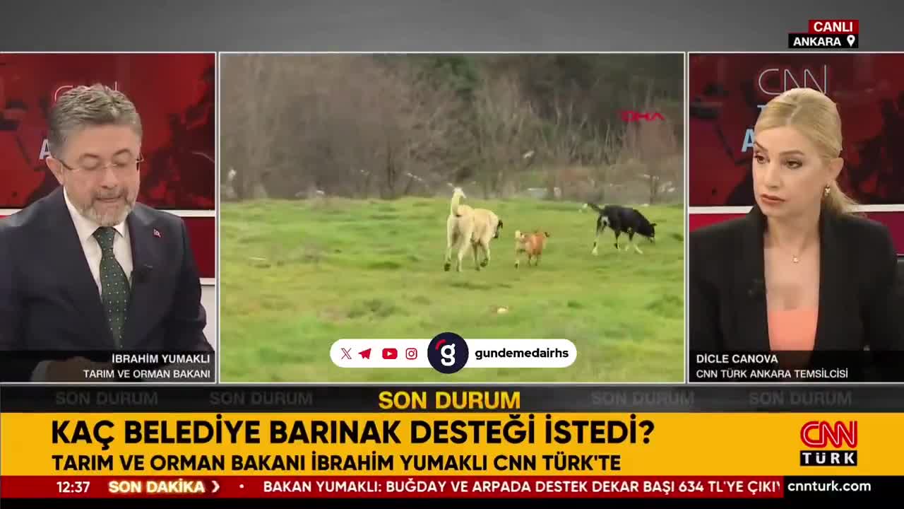 Bakan Yumaklı: Hayvan yasası işkenceyi haklı kılmaz