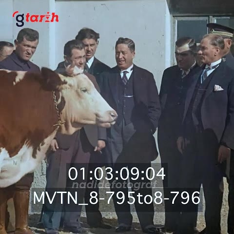 Tahsin Coşkan, Atatürk'e ineklerin süt verimi hakkında bilgi veriyor