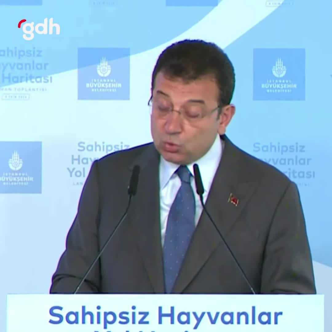 Tek bir sokak hayvanı uyutulmayacak!