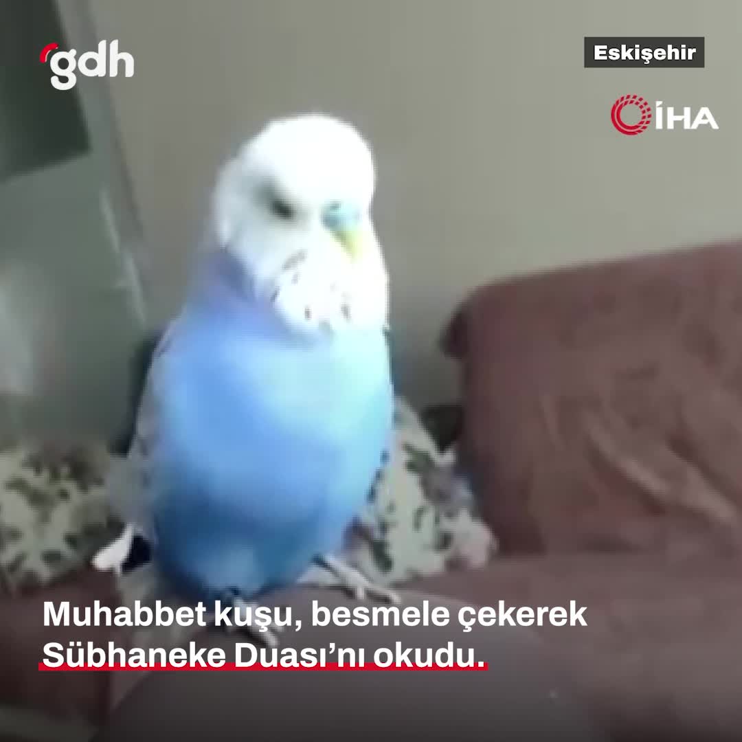 Eskişehir'de Kuş Sübhaneke Duası'nı ezberledi