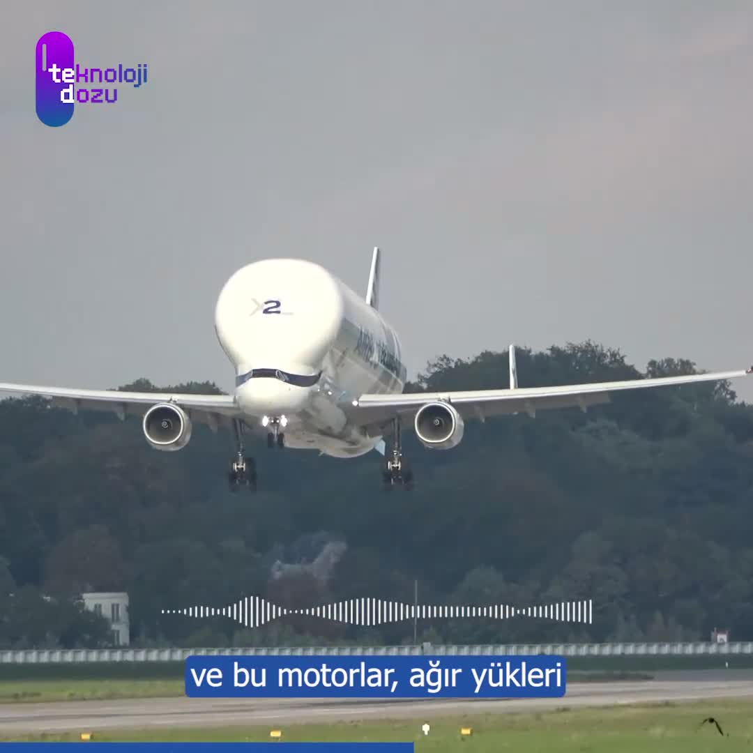 Devasa kargo uçağı: Airbus Beluga'nın olağanüstü kapasitesi