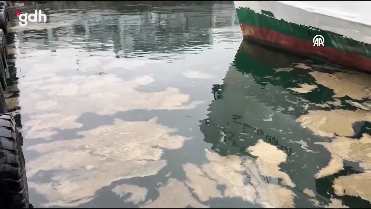 Müsilaj Kabusu Geri Döndü: Kadıköy Bostancı'da Görüldü!